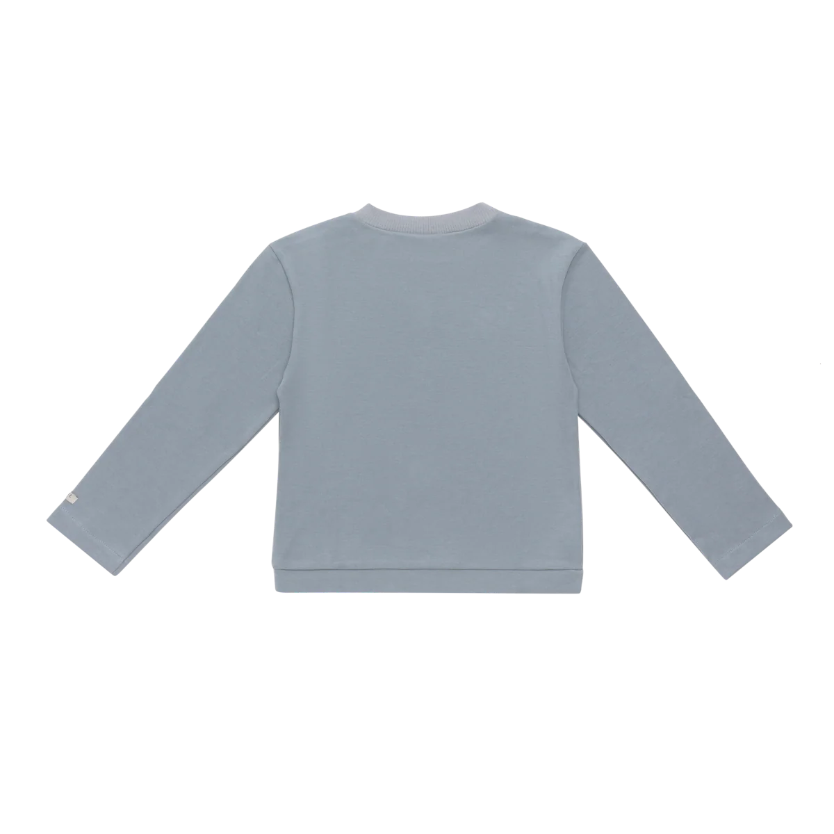 Bluzka Longsleeve Jorjin - Foggy Blue