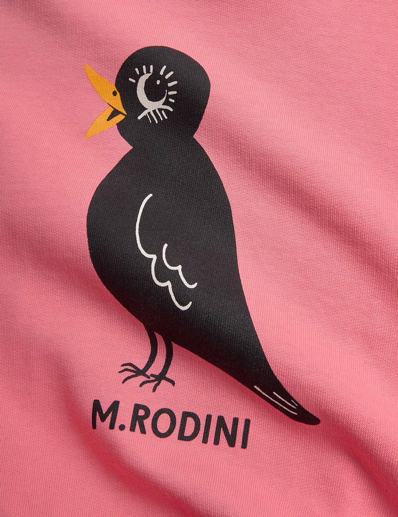 Bluza Blackbird