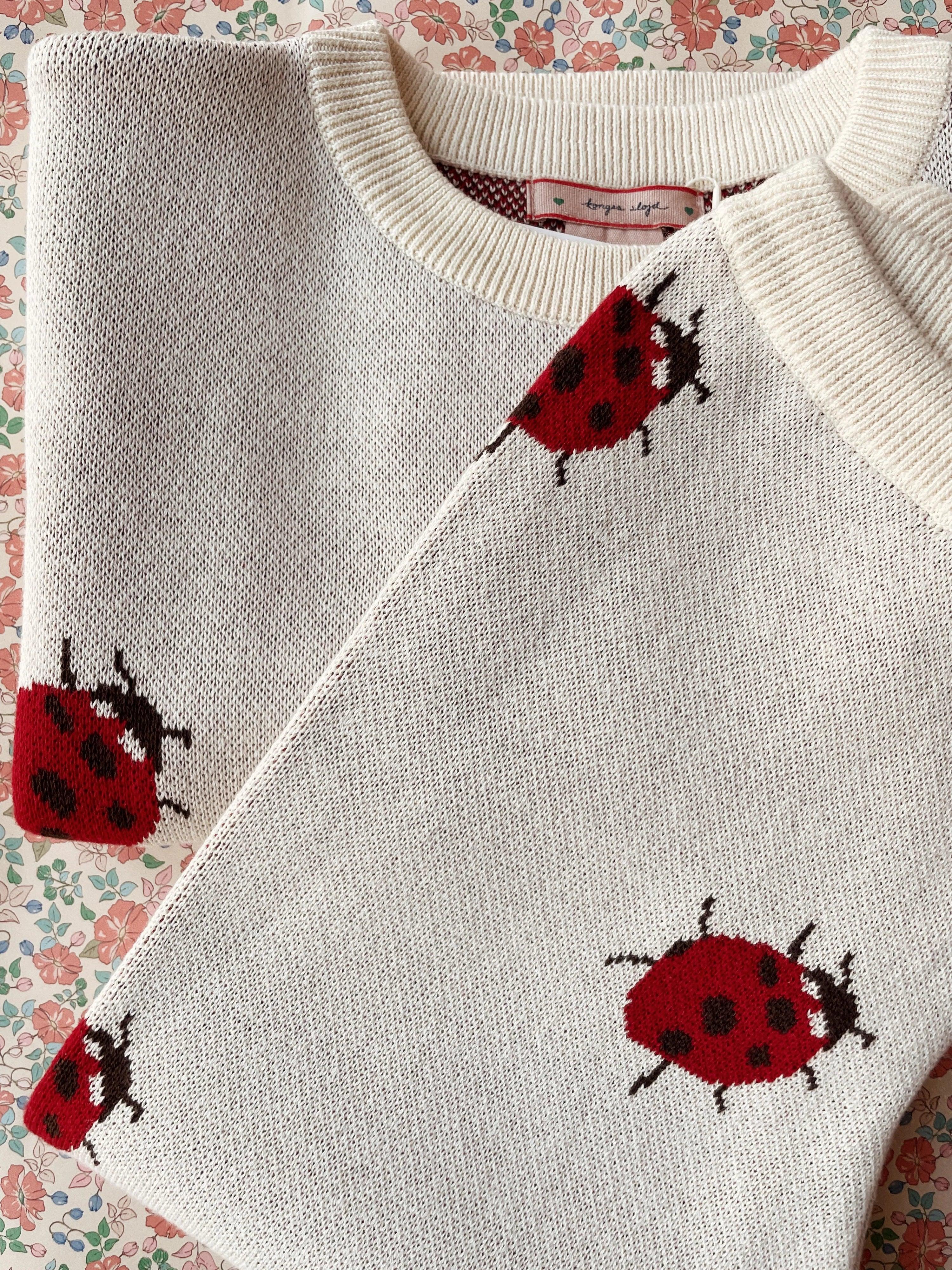 Bluza dzianinowa Lapis - Ladybug - L’enfant